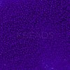 TOHO Round Seed Beads SEED-TR11-0008F-2