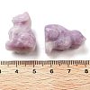 Natural Lepidolite/Purple Mica Stone Carved Figurines DJEW-L023-B04-3
