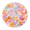 600Pcs Glass Seed Beads SEED-PA0001-17-1