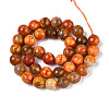 Dyed & Heated Natural Fire Crackle Agate Beads Strands G-N359-01B-09-3