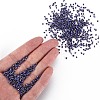 12/0 Glass Seed Beads SEED-S005-32-5