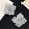 2Pcs Crystal Rhinestones Shoes Decoration DIY-FH0008-22-4