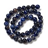 Natural South Africa Sodalite Beads Strands G-S259-35-12mm-01-7