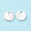 304 Stainless Steel Charms STAS-L234-081A-S-4