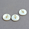 Freshwater Shell Pendants SSHEL-S249-T-1
