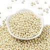 6/0 Glass Seed Beads SEED-L011-08A-16-2