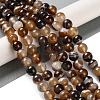 Natural Striped Agate/Banded Agate Beads Strands G-Z060-A01-B10-2