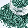 TOHO Round Seed Beads SEED-TR11-0055D-1