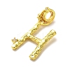 Rack Plating Brass Micro Pave Cubic Zirconia European Dangle Charms KK-L210-015G-H-2