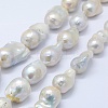 Natural Baroque Pearl Keshi Pearl Beads Strands PEAR-K004-17-1