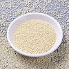 MIYUKI Delica Beads LS-SEED-J020-DB0157-2