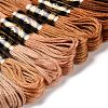 8 Skeins 8 Colors 6-Ply Polyester Embroidery Floss OCOR-M009-01A-02-2