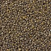 MIYUKI Round Rocailles Beads SEED-G007-RR4517-3