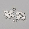 Tibetan Style Alloy Pendants FIND-CJC0018-29AS-1