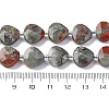 Natural Dragon Blood Beads Strands G-P570-E05-02-5