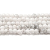 Natural Howlite Beads Strands G-E608-A01-A-1