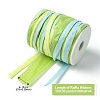 Natural Raffia Ribbon OCOR-CJ0004-02B-2