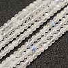 Natural Rainbow Moonstone Beads Strands G-F460-08-1