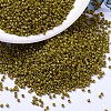 MIYUKI Delica Beads SEED-J020-DB2141-1