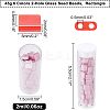 6 Colors 2-Hole Glass Seed Beads SEED-NB0001-26-2