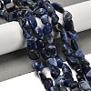 Natural Sodalite Beads Strands G-P497-01E-55-2