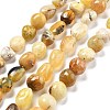 Natural Yellow Opal Beads Strands G-C179-F03-01-1