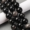 Natural Silver Sheen Obsidian Beads Strands G-F808-C01-16mm-1