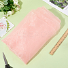 Organza Fabric DIY-WH20050-60A-3