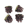 4Pcs Handmade Lampwork Beads LAMP-TA0002-24F-3