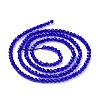 Transparent Glass Beads Strands GLAA-H021-04-09-4