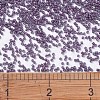 MIYUKI Delica Beads SEED-MY11-DB0662-4