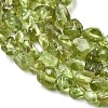 Natural Peridot Beads Strands G-H346-A01-01-4