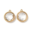 304 Stainless Steel Rhinestone Pendants STAS-P453-09G-M-2