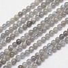 Natural Labradorite Round Bead Strands G-I156-01-4mm-1