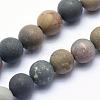 Natural Ocean Agate/Ocean Jasper Beads Strands G-G716-02-6mm-1