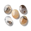 Natural Dendritic Agate Cabochons G-B138-03-1