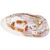 Natural Shell Ring Holder DJEW-WH0001-36-1