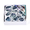 Natural Fluorite Geode Cornucopia Mineral Specimen G-N360-04A-1