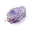 Natural Gemstone Pendants PALLOY-JF01403-5