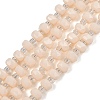 Opaque Glass Beads Strands GLAA-P076-01C-06-1