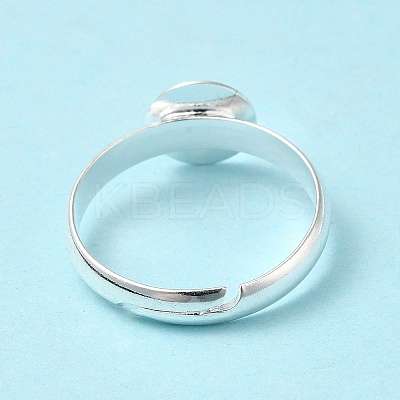 Brass Ring Components EC541-NFS-1