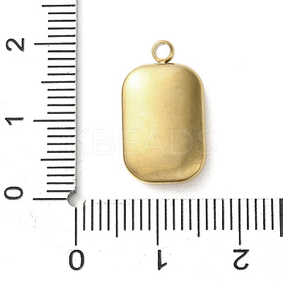 304 Stainless Steel Acrylic Pendants STAS-M091-02C-G-1