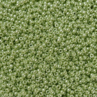 MIYUKI Round Rocailles Beads X-SEED-G007-RR0439-1