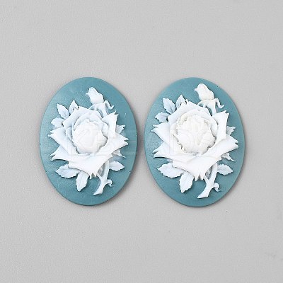 Resin Cabochons CRES-WH0018-02C-1