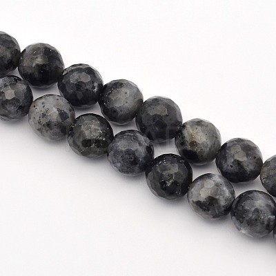 Faceted Round Natural Larvikite Beads Strands G-E302-083-8mm-1