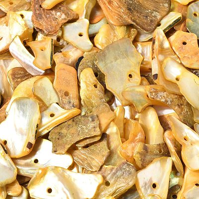 Dyed Natural Mother of Pearl Shell Nuggets Chips Beads BSHE-O007-10C-1