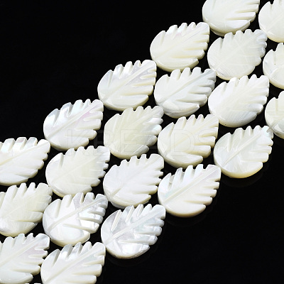 Natural Trochid Shell/Trochus Shell Beads Strands SSHEL-N034-136B-01-1