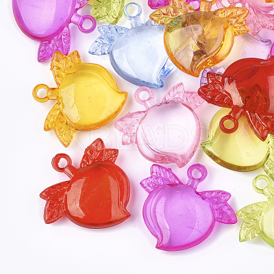 Transparent Acrylic Pendants TACR-S133-039-1