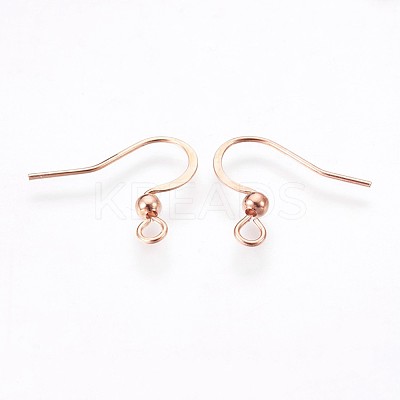 316 Surgical Stainless Steel Earring Hooks X-STAS-P220-13RG-1