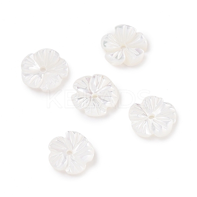 Natural Trochid Shell/Trochus Shell Beads SHEL-P014-02A-1